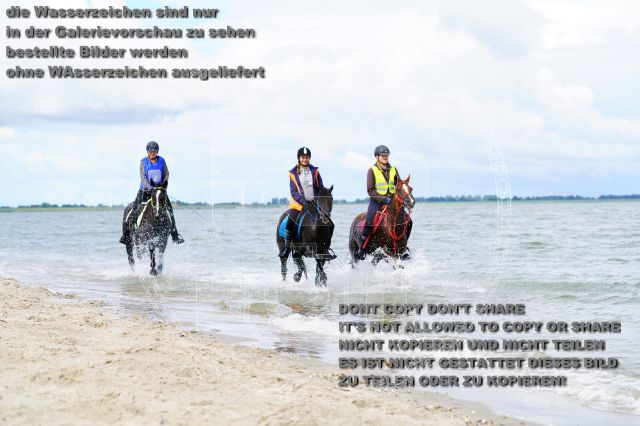 s_K3F05093.JPG